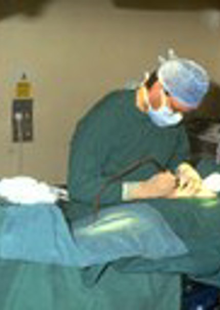 Veterinary Surgeon